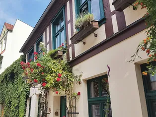 Fachwerkhaus mit Rosen in der Altstadt von Salzwedel
